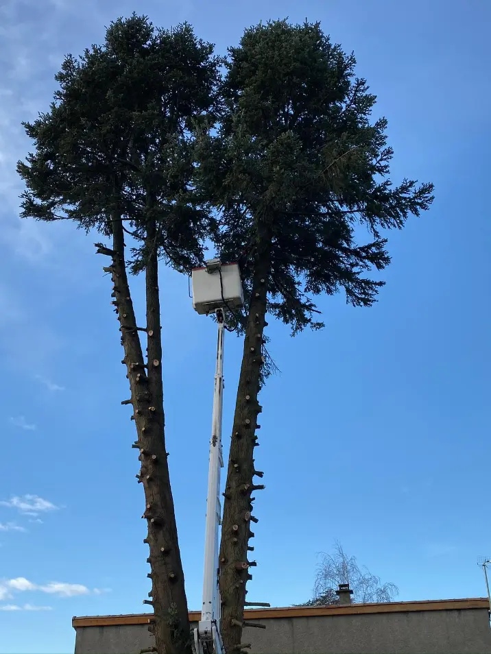 Chantier METIFIOT TP GOUDRONNAGE à Livron-sur-Drôme — terrassement & élagage (photo 18)