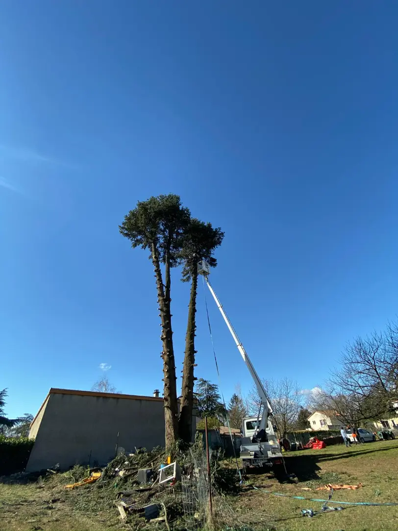 Chantier METIFIOT TP GOUDRONNAGE à Livron-sur-Drôme — terrassement & élagage (photo 19)