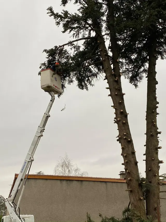 Chantier METIFIOT TP GOUDRONNAGE à Livron-sur-Drôme — terrassement & élagage (photo 27)